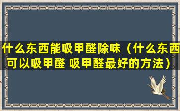 什么东西能吸甲醛除味（什么东西可以吸甲醛 吸甲醛最好的方法）